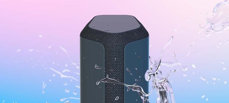 Enceinte sans fil Sony SRS-XE300 - NOIR